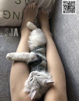 谢谢你曾经爱过我