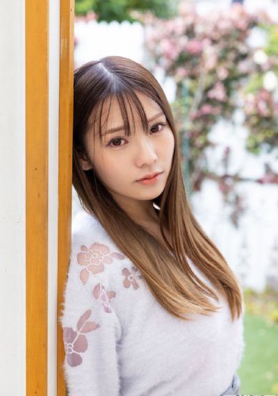 文豪野犬第二季免费观看